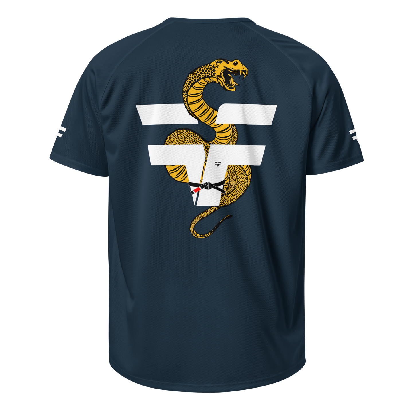 French Navy