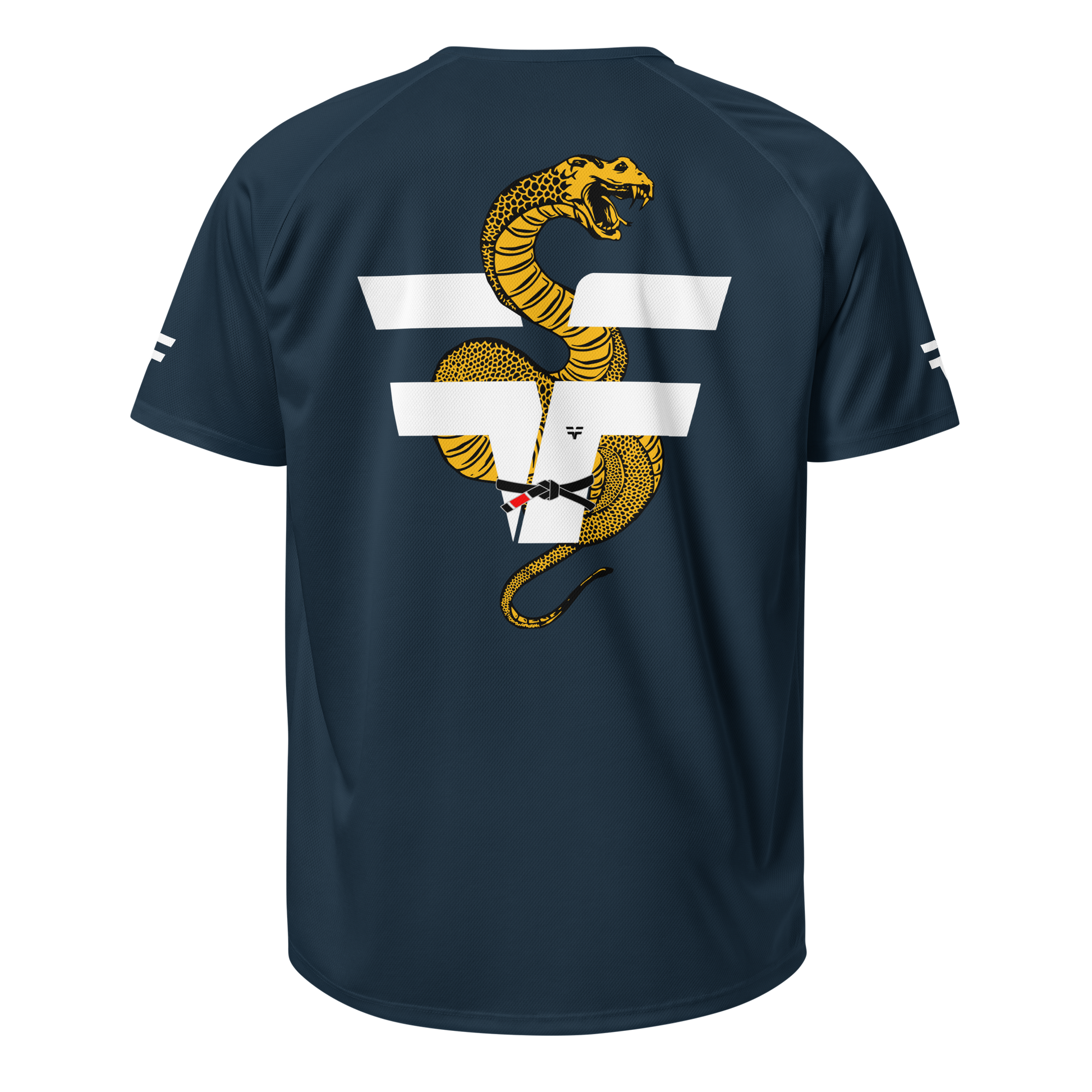 French Navy